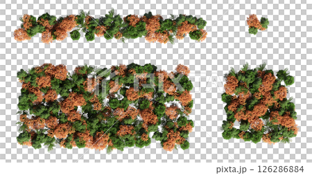 group of trees isolated on a transparent background, big trees in the forest, 3D illustration, cg render 126286884