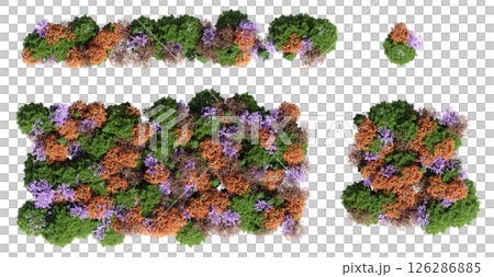 group of trees isolated on a transparent background, big trees in the forest, 3D illustration, cg render group of trees isolated on a transparent background, big trees in the forest, 3D illustration, cg render 126286885
