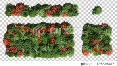 group of trees isolated on a transparent background, big trees in the forest, 3D illustration, cg render 126286887