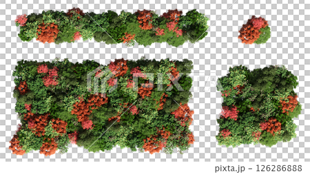 group of trees isolated on a transparent background, big trees in the forest, 3D illustration, cg render group of trees isolated on a transparent background, big trees in the forest, 3D illustration, cg render 126286888