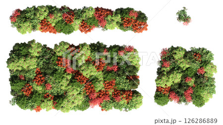 group of trees isolated on a transparent background, big trees in the forest, 3D illustration, cg render 126286889