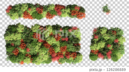 group of trees isolated on a transparent background, big trees in the forest, 3D illustration, cg render 126286889