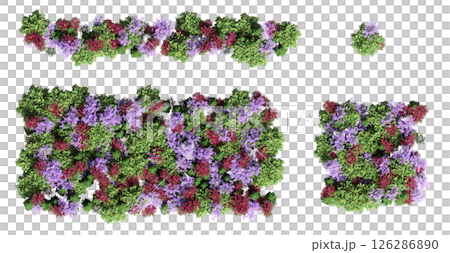 group of trees isolated on a transparent background, big trees in the forest, 3D illustration, cg render 126286890