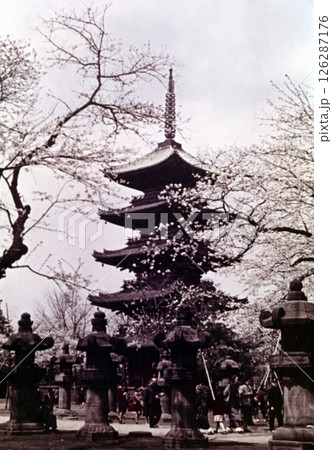 古写真　1956年　東京　上野　寛永寺の五重塔 126287176