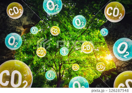 Tree canopy against a sky background with oxygen O2 and carbon dioxide CO2 molecules. Carbon dioxide absorption and oxygen release concept. Concept of carbon dioxide emissions and its impact on nature 126287548