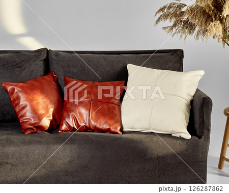 Leather and fabric cushions resting on modern sofa in stylish living room 126287862