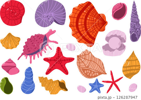 Seashells and Starfish Illustrations in Various Colors on a White Background 126287947