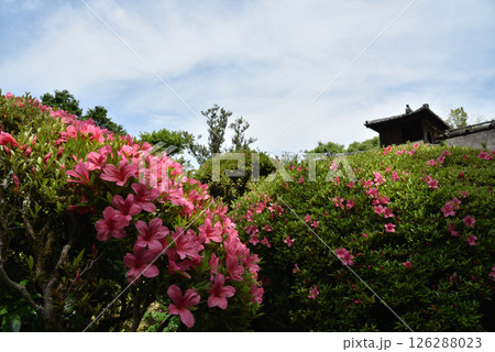 春の詩仙堂丈山寺　サツキと嘯月楼(京都市左京区) 126288023