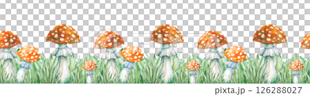 Seamless horizontal border with hand-painted watercolor fly agarics. Botanical illustration of poisonous forest mushrooms in green grass. Isolated. For website design, packaging, invitations Seamless horizontal border with hand-painted watercolor fly agarics. Botanical illustration of poisonous forest mushrooms in green grass. Isolated. For website design, packaging, invitations 126288027