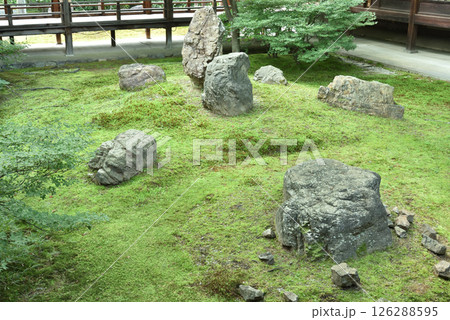 大本山建仁寺　初夏の潮音庭(京都市東山区) 126288595