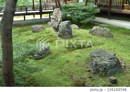 大本山建仁寺 初夏の潮音庭(京都市東山区) 大本山建仁寺 初夏の潮音庭(京都市東山区) 126288596