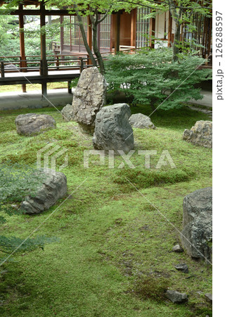 大本山建仁寺　初夏の潮音庭(京都市東山区) 126288597