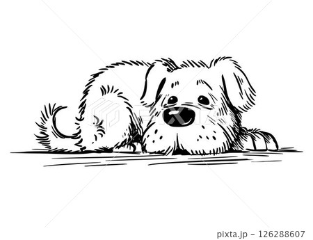 Kind old dog lying and resting 126288607