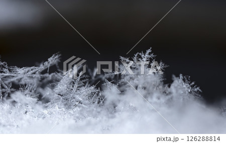 Macro snowflakes showing intricate winter details on dark background 126288814