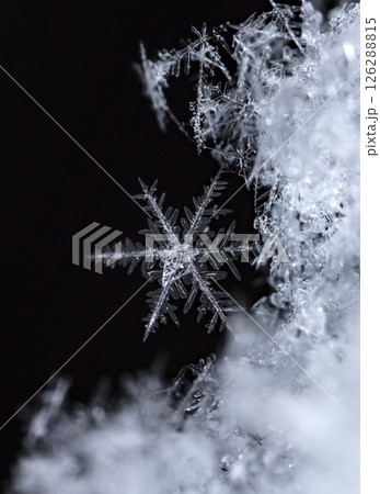 Macro snowflakes showing intricate winter details on dark background 126288815
