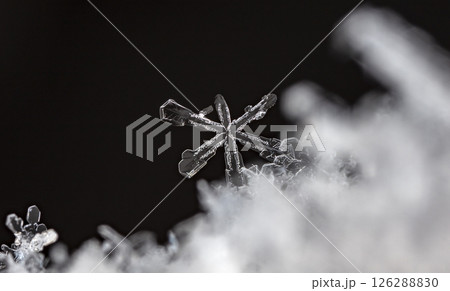 Macro snowflakes showing intricate winter details on dark background Macro snowflakes showing intricate winter details on dark background 126288830