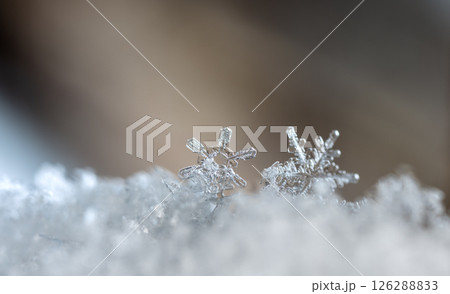 Macro snowflakes showing intricate winter details on dark background 126288833