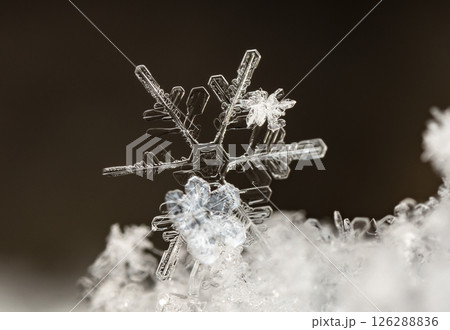 Macro snowflakes showing intricate winter details on dark background Macro snowflakes showing intricate winter details on dark background 126288836