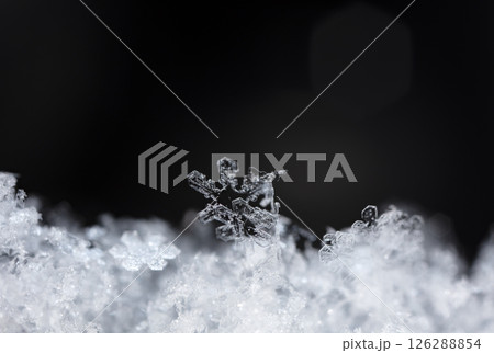 Macro snowflakes showing intricate winter details on dark background Macro snowflakes showing intricate winter details on dark background 126288854