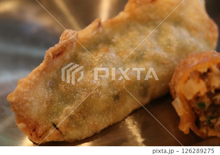 Asian Delicious Food. Fried Dumplings 126289275