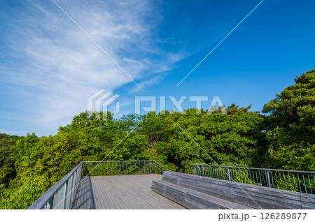 【新緑の横山展望台・そよ風テラス】三重県・伊勢志摩国立公園 【新緑の横山展望台・そよ風テラス】三重県・伊勢志摩国立公園 126289877