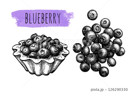 Ink sketch of fruit tart with fresh blueberries. 126290330