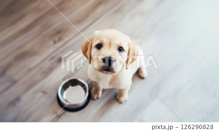 Cute puppy looking up with empty bowl on wooden floor, top view 126290828