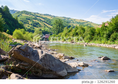 river flows through the valley in carpathian mountains. vacation season. shallow water reveals stones. beautiful landscape in summer on an sunny morning. countryside scenery 126291260