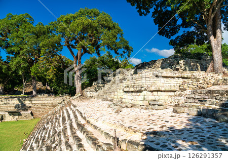East Court of the Maya Archaeological Site of Copan. UNESCO world heritage in Honduras East Court of the Maya Archaeological Site of Copan. UNESCO world heritage in Honduras 126291357