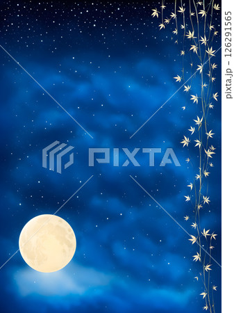 星がきらめく夜空の背景素材 126291565