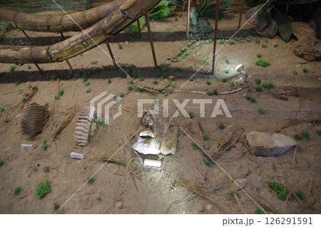 インドネシア　世界遺産サンギラン初期人類遺跡 126291591