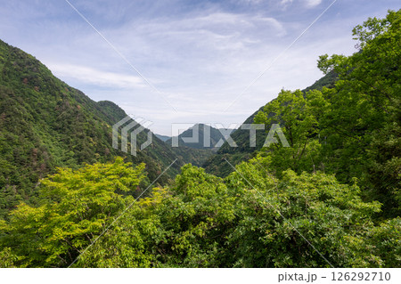 日本の徳島県の祖谷渓のとても美しい風景 日本の徳島県の祖谷渓のとても美しい風景 126292710