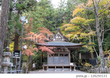 秋の秩父宝登山神社 境内風景 秋の秩父宝登山神社 境内風景 126293131