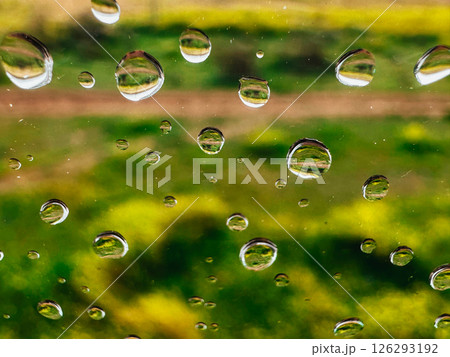 Extremely close up macro drops of water on a wet glass on natural green background. Raindrops pattern on smooth surface. Rainy day. Abstract wallpaper 126293192