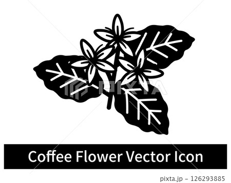 シンプルなコーヒーの花と葉のイラスト 126293885