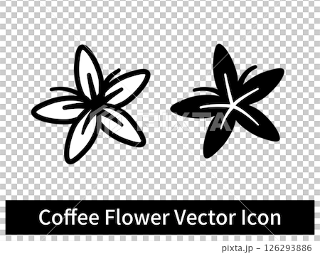 シンプルなコーヒーの花のイラスト 126293886