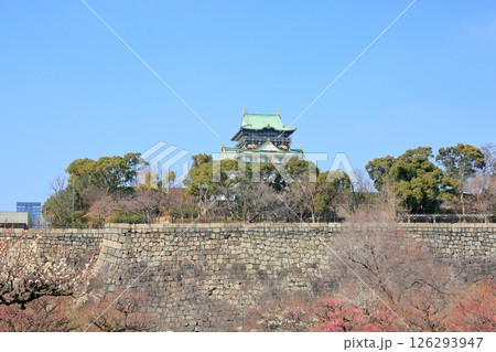 大阪城天守閣 126293947