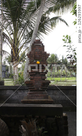 Traditional Balinese Hindu Shrine Sanggah with Yellow Marigold Offering Surrounded by Palm Trees and Rice Fields in a Peaceful Tropical Setting Traditional Balinese Hindu Shrine Sanggah with Yellow Marigold Offering Surrounded by Palm Trees and Rice Fields in a Peaceful Tropical Setting 126293997