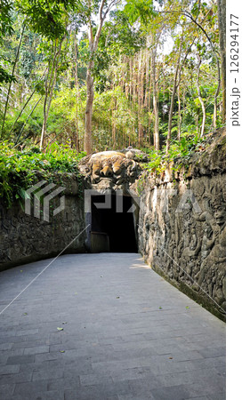 Portrait of Entrance to an Ancient Stone Carved Passage Surrounded by Greenery in a Forest Setting Portrait of Entrance to an Ancient Stone Carved Passage Surrounded by Greenery in a Forest Setting 126294177