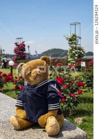 横須賀2025 ヴェルニー公園2 アンテークテディベア 横須賀2025 ヴェルニー公園2 アンテークテディベア 126294324