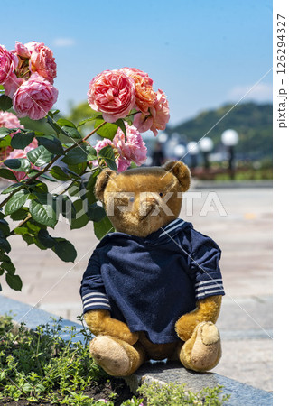 横須賀2025 ヴェルニー公園5 アンテークテディベア 横須賀2025 ヴェルニー公園5 アンテークテディベア 126294327