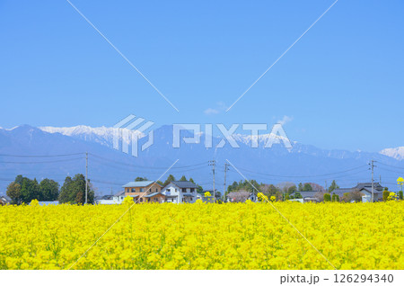 有明山と菜の花畑【安曇野市】 有明山と菜の花畑【安曇野市】 126294340