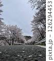 「桜舞う道の先に続く風景」桜の道；Cherry road 126294453