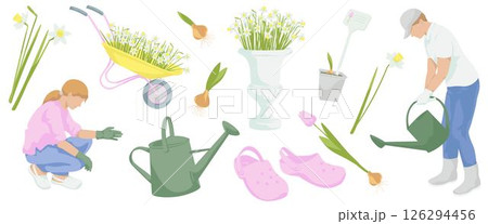 woman in work clothes  squatting to gardening, Man  watering with watering can, daffodils flowers, tulip flower, sprouted bulb of a plant, pair of rubber gardening clogs, watering can,Blooming daffodi 126294456