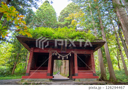 戸隠神社　奥社　随神門 126294467