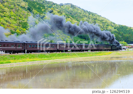 初夏の長門峡の景色とSL山口号　D51　山口県山口市 126294519