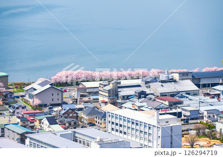 春の諏訪湖畔の風景【諏訪市湖岸通り】 126294719