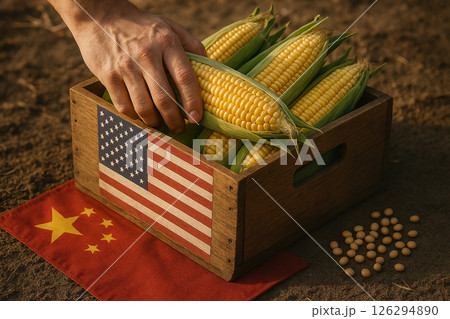 Agricultural trade between USA and China shown through wooden box of corn and soybeans with national flags on rustic farmland 126294890