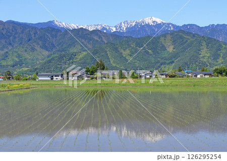 安曇野 5月の田園と北アルプス 安曇野 5月の田園と北アルプス 126295254