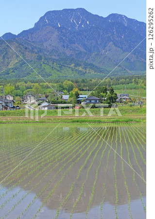 安曇野　5月の田園と北アルプス 126295262